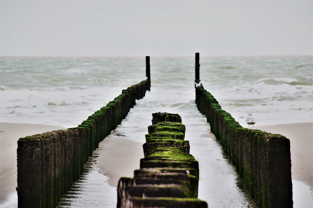 photo of Zeeland Pier near Brouwersdam