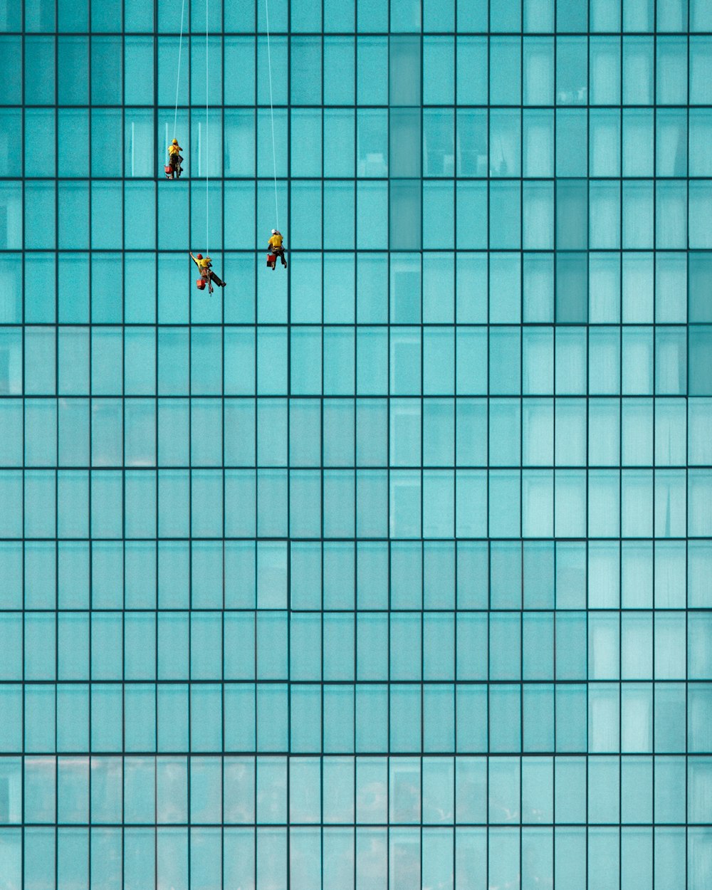 three men cleaning windows