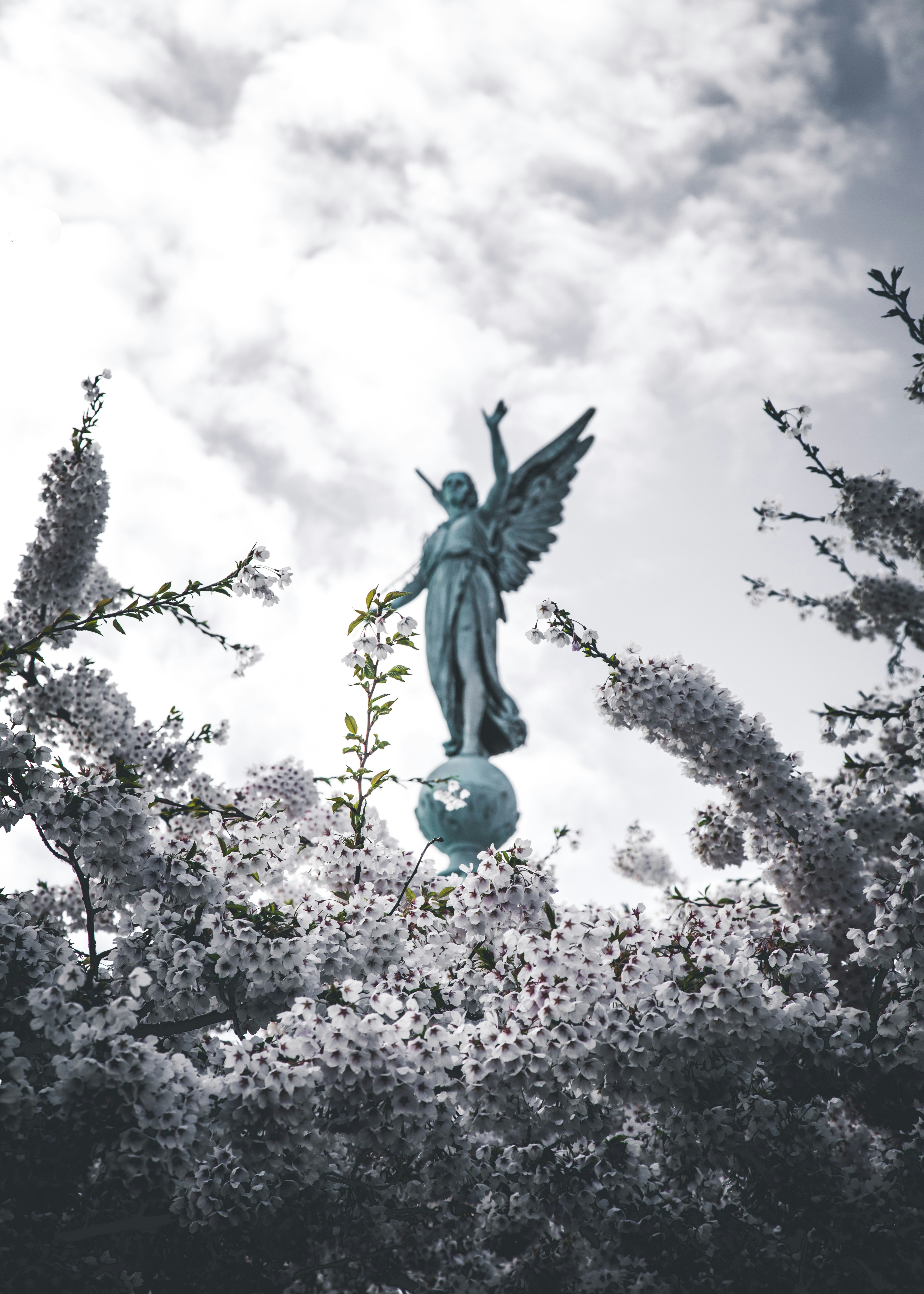 angel