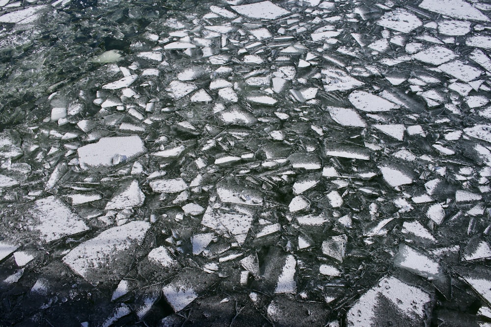 a large amount of ice on a body of water