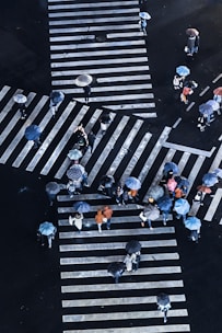 group of people crossing pedestrian lane