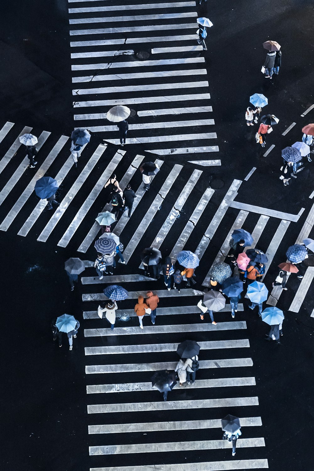 group of people crossing pedestrian lane