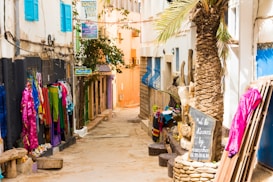 A narrow alleyway lined with colorful textiles hanging from the walls, suggesting a market or shop area. There is a large palm tree on one side with a chalkboard underneath advertising dinners by reservation. The street is adorned with bright colors including blue shutters and vibrant clothing fabrics.