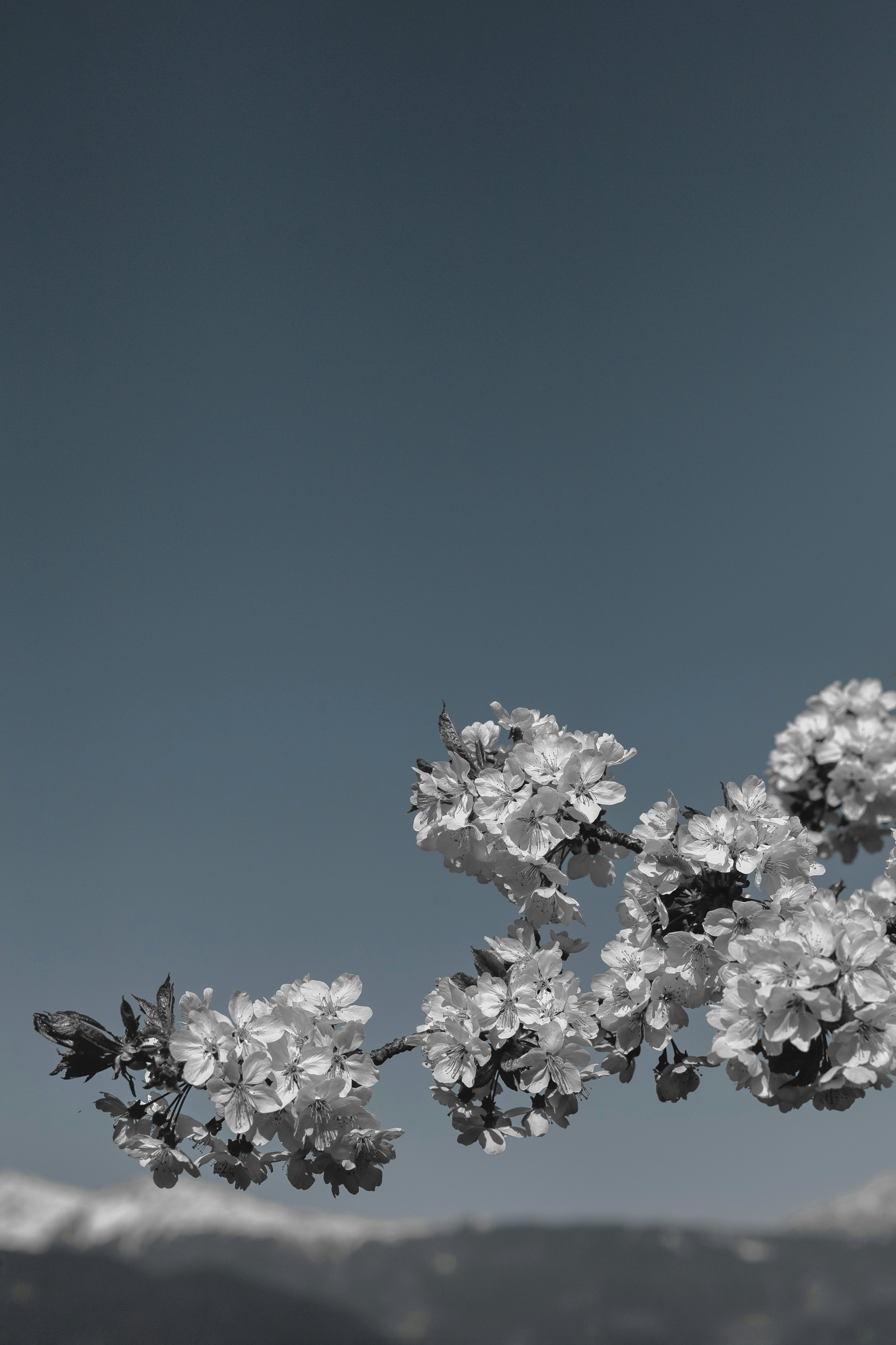 Beacons banner for @trouble