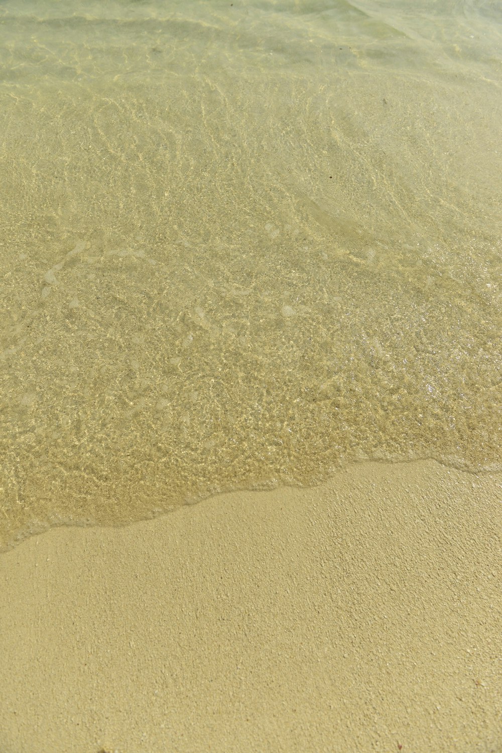 aerial view photography of shore