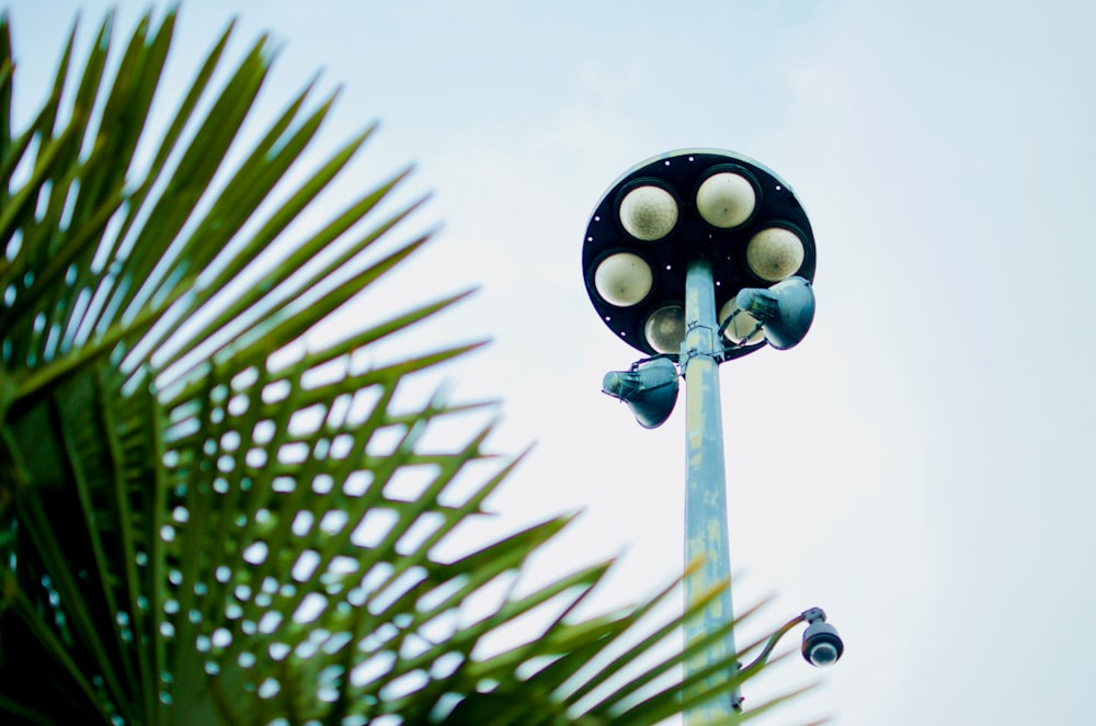 low angle view photography of light