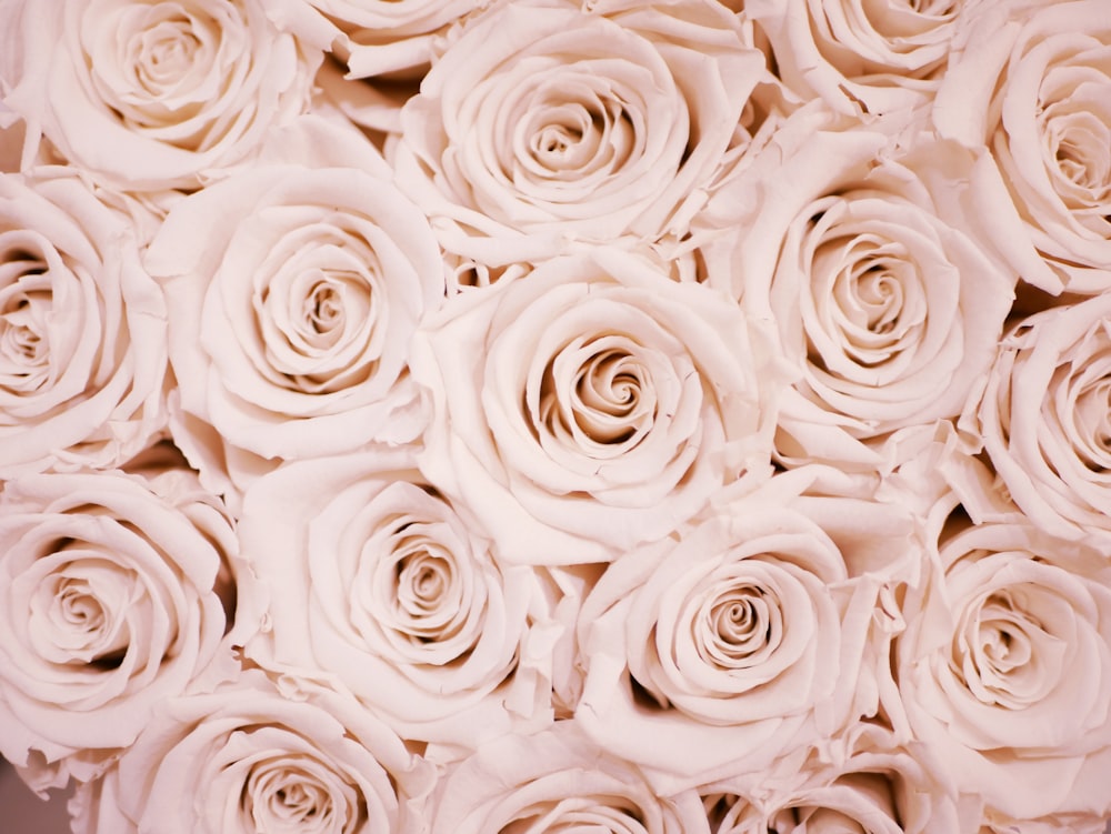 Rose Gold Wallpapers: Free HD Download