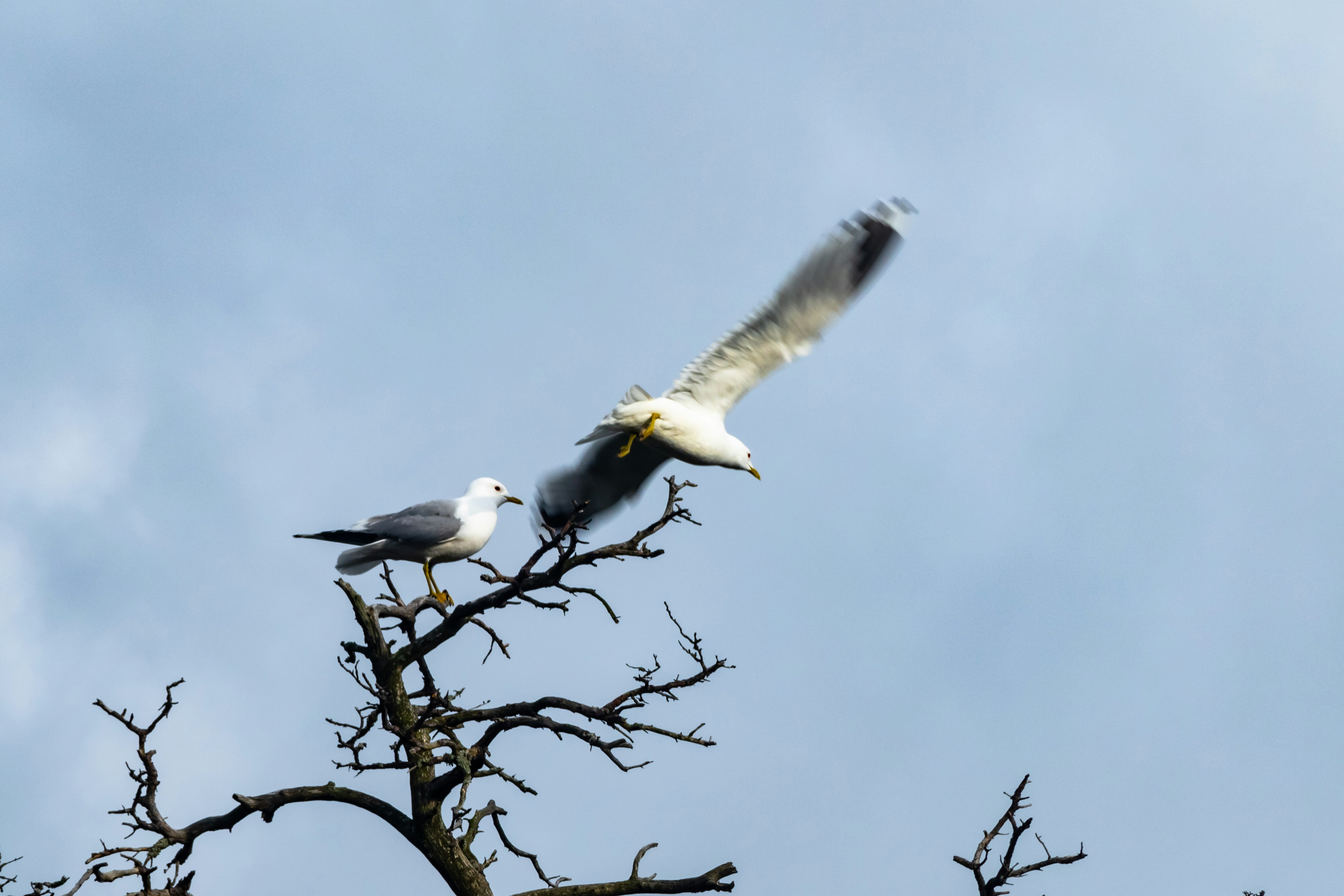 photo-1524849392783-0347c7931778?ixlib=rb-1.2.1&ixid=eyJhcHBfaWQiOjEyMDd9&auto=format&fit=crop&w=1502&q=80