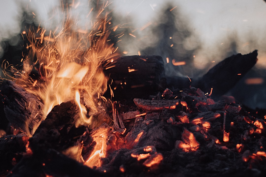 tilt-shift lens photography of fire ember,
