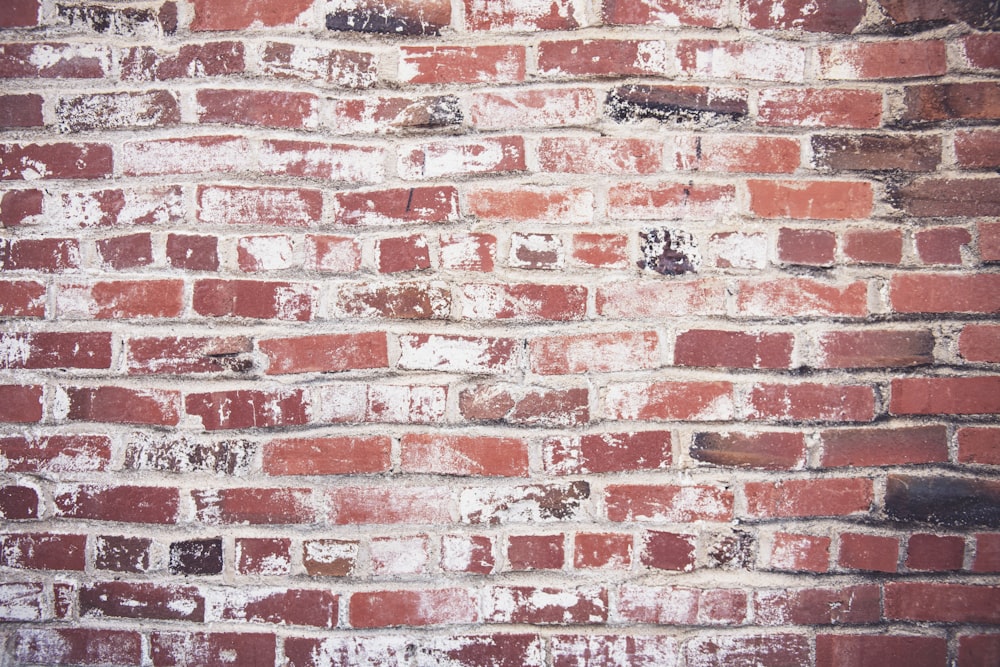 brown bricked wall