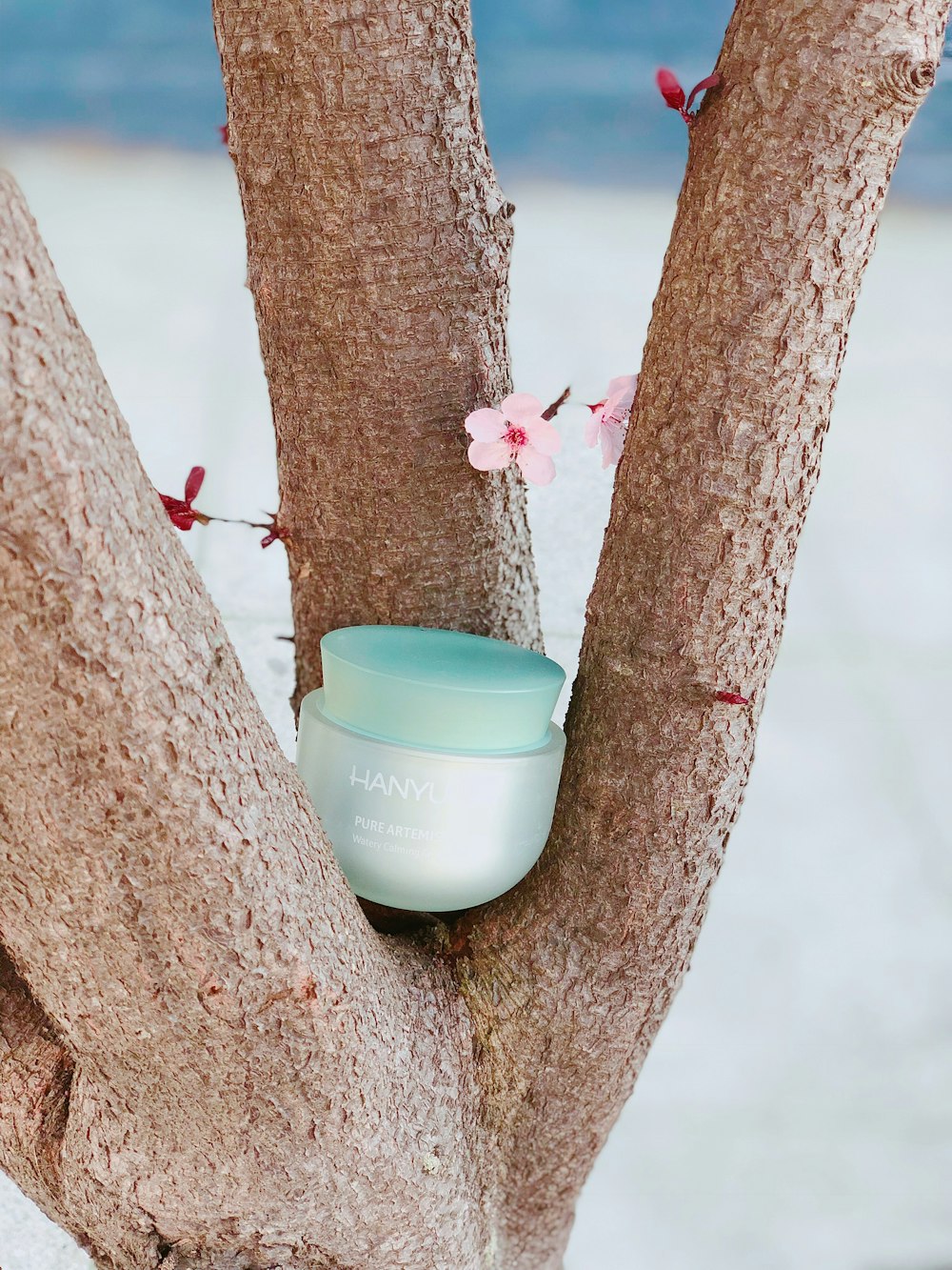 teal tub on tree branch