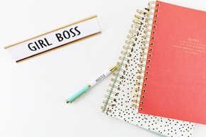 two spring notebooks beside ballpoint pen