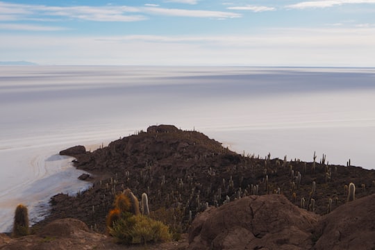 brown hill near body of water in Isla Incahuasi Bolivia