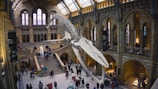 concrete museum