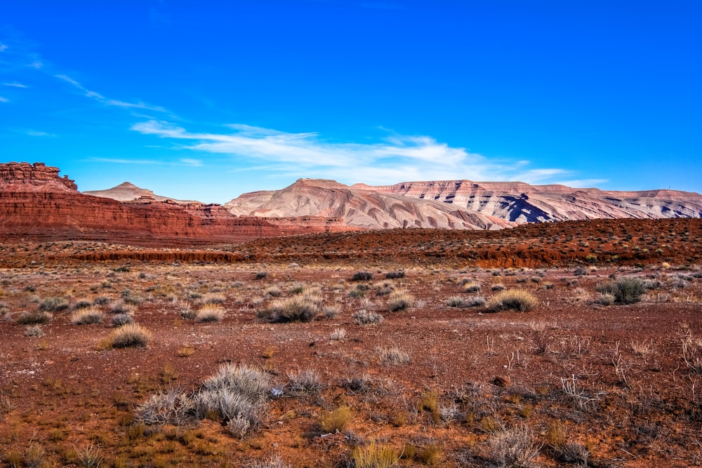 landscape photography of mountain