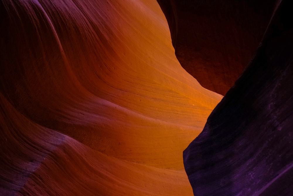 Canyon Antelope