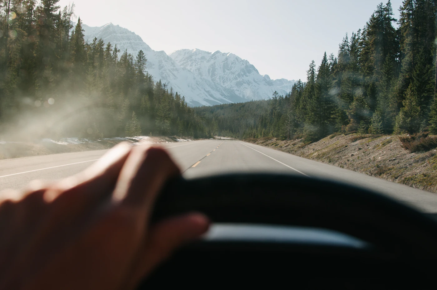The wheel and the dashboard
