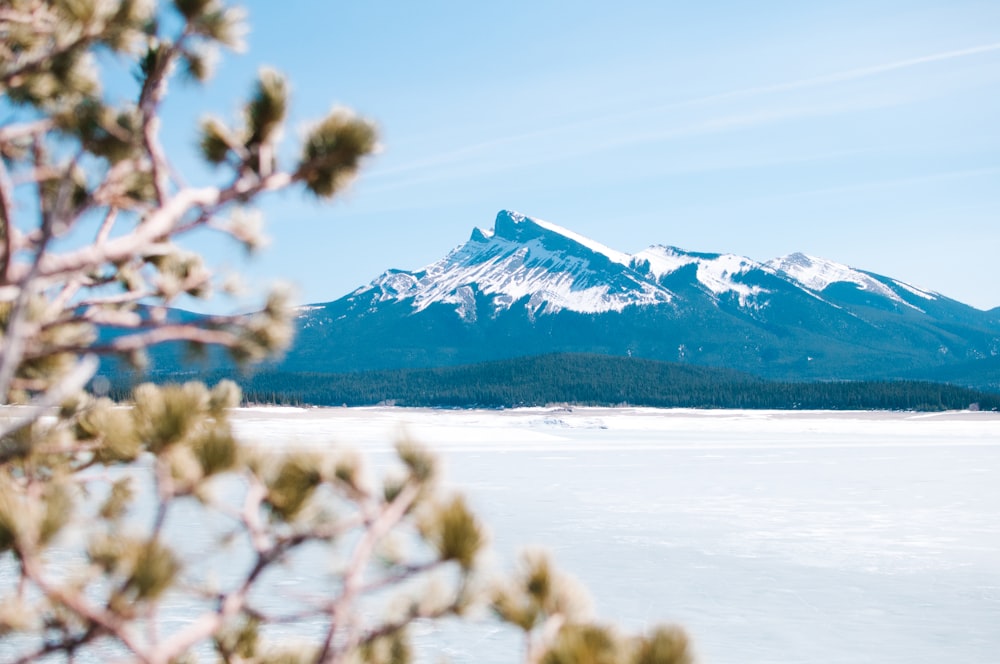 photo of mountain under white sky