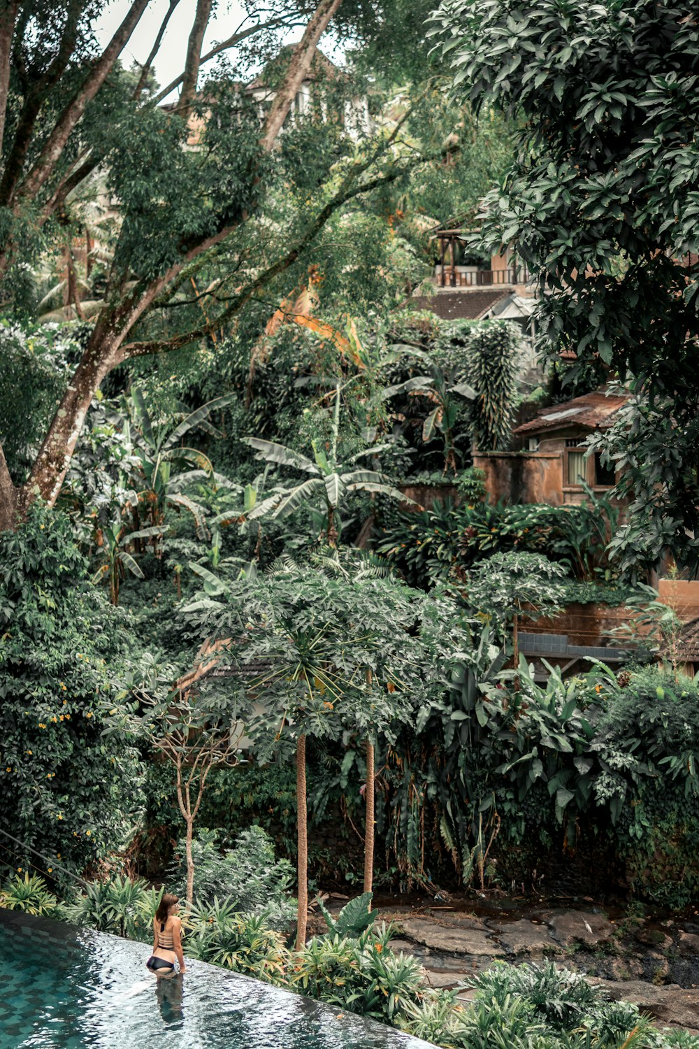 woman near papaya tree