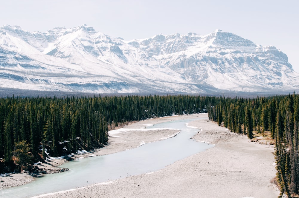 fiume circondato da alberi verdi che si affaccia sulle montagne innevate