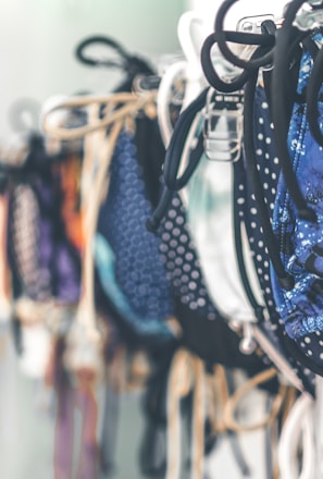 a row of bras hanging on a wall