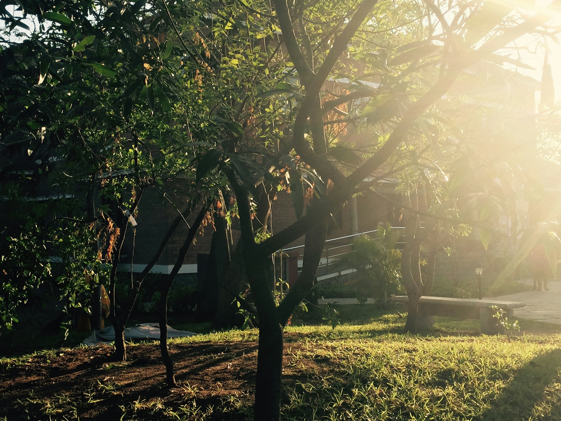 black and white bed linen
