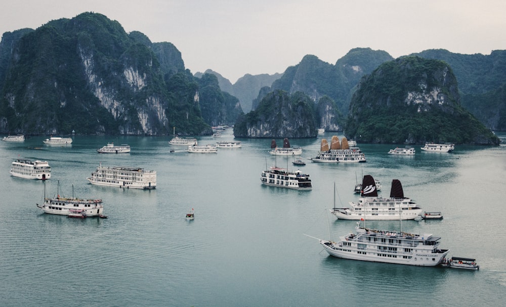 white boats on body of water