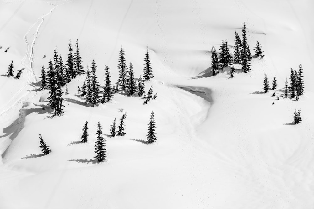 aerial view photography of snow