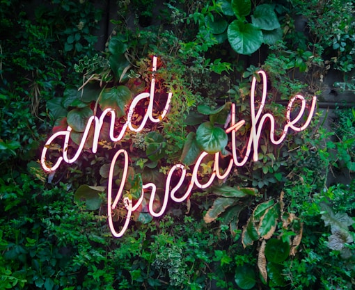 and breathe neon sign on tre