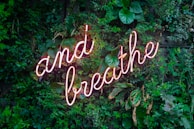 and breathe neon sign on tre