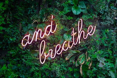 and breathe neon sign on tre calm zoom background