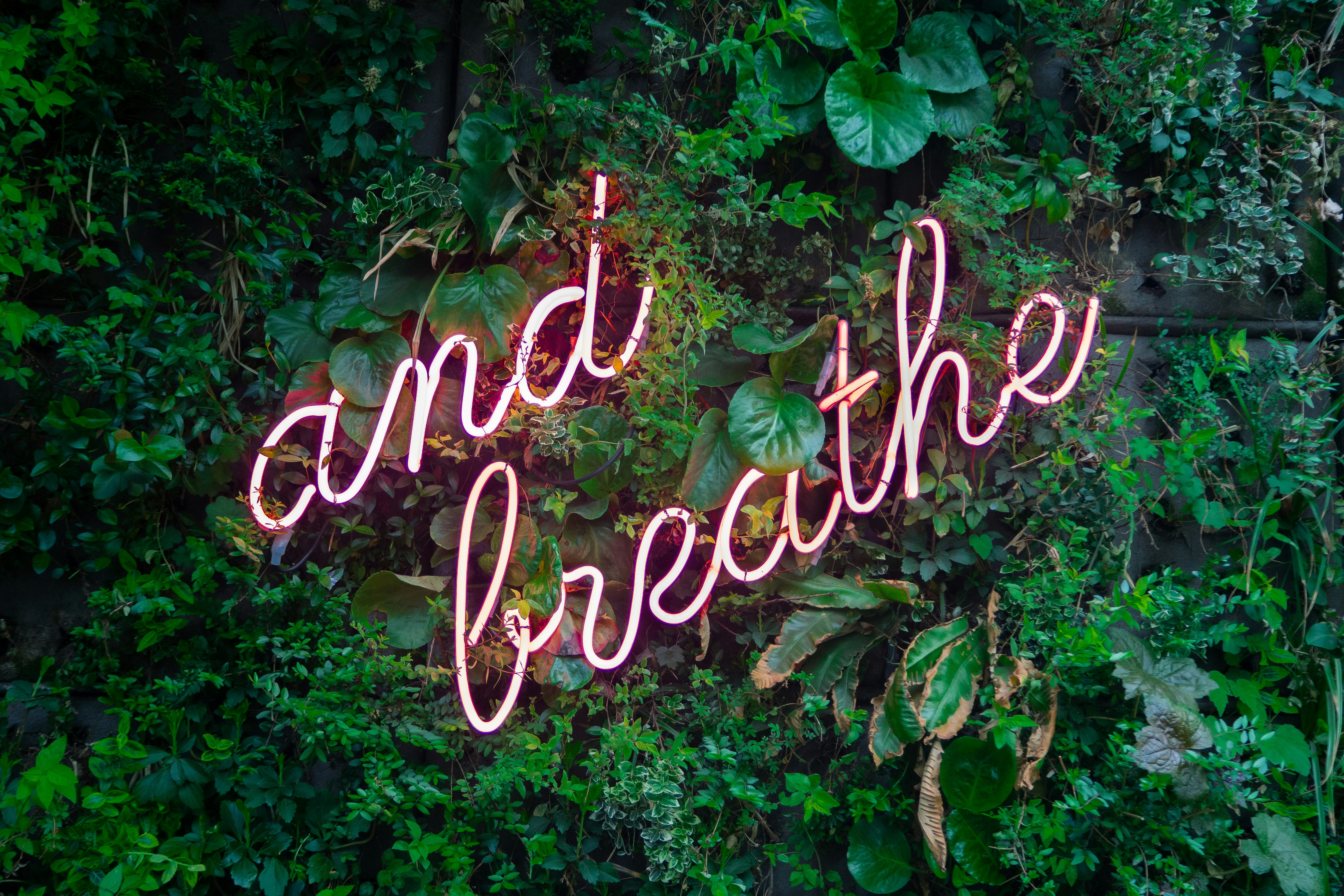 https://images.unsplash.com/photo-1524901548305-08eeddc35080?ixid=M3w2MjYzNjJ8MHwxfHNlYXJjaHw4fHxzZWxmLXNlcnZpY2UlMjBraW9za3N8ZW58MHwwfHx8MTcyMzIxOTIyNHww&ixlib=rb-4.0.3