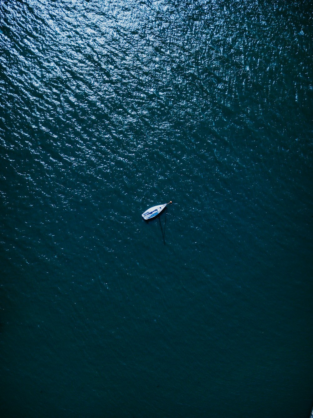 aerial photography of white boat on body of water at daytime