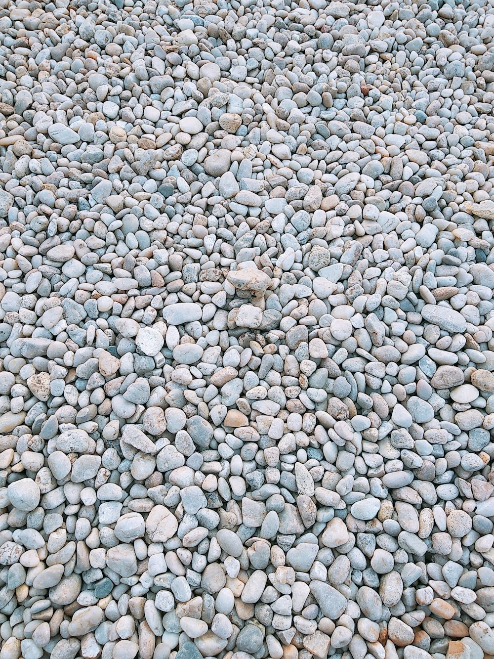 assorted concrete stones