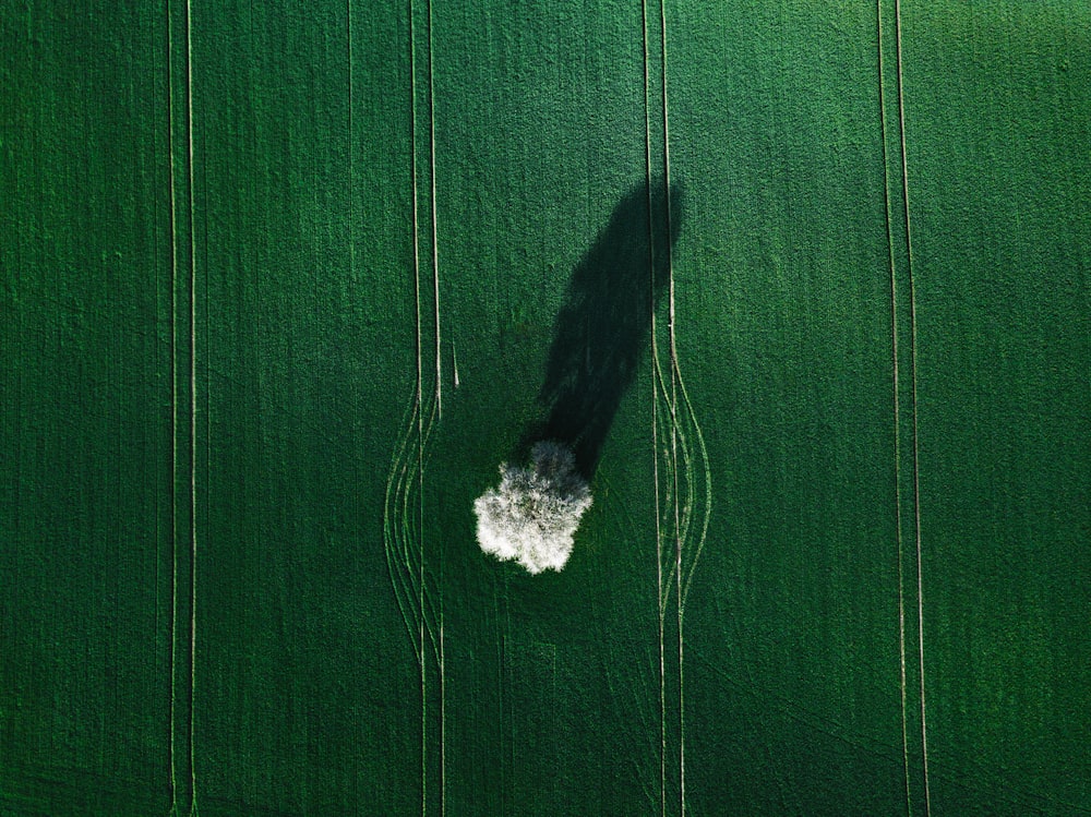 Photo aérienne d’un champ d’herbe verte