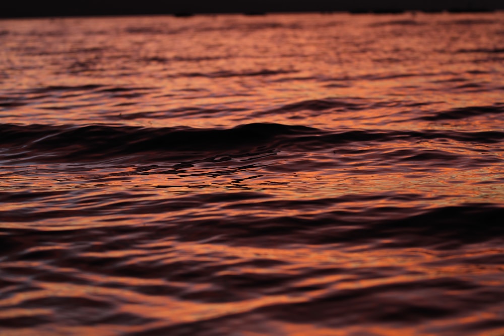 calm body of water on focus photo