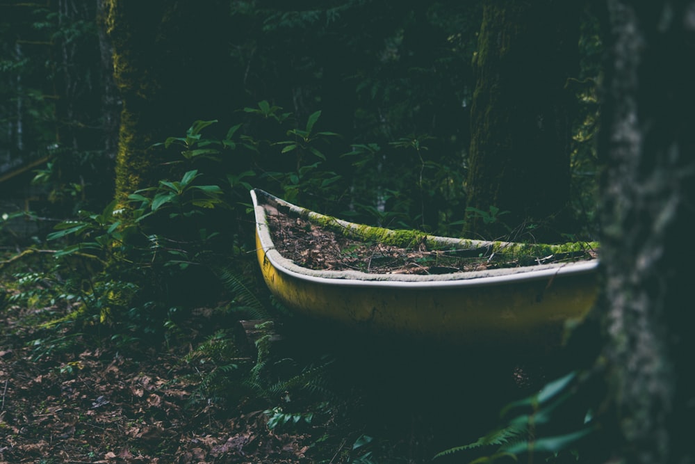 yellow canoe between trees