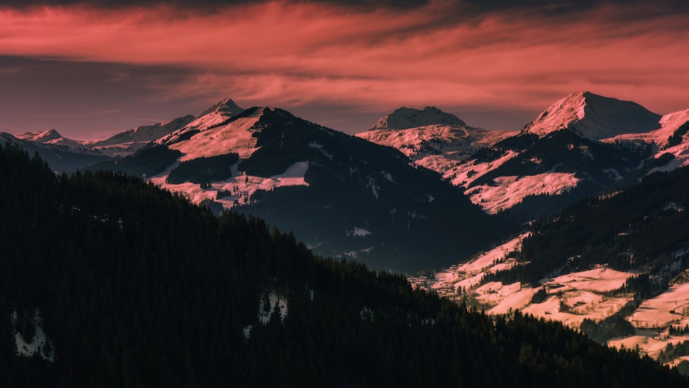 snow covered mountains