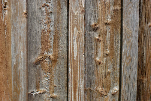 Close-up of textured wood-plastic composite decking showcasing its weather-resistant surface.