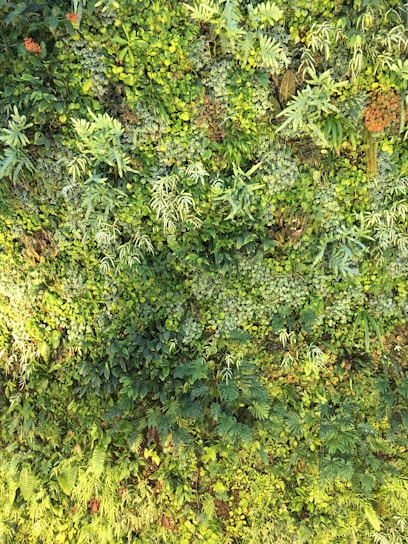 A dense vertical garden with a variety of green plants and foliage. The wall is covered with different types of leaves, including broad leaves and ferns, creating a rich, textured pattern. Some areas are more saturated with yellow-green shades, while others have darker green tones.