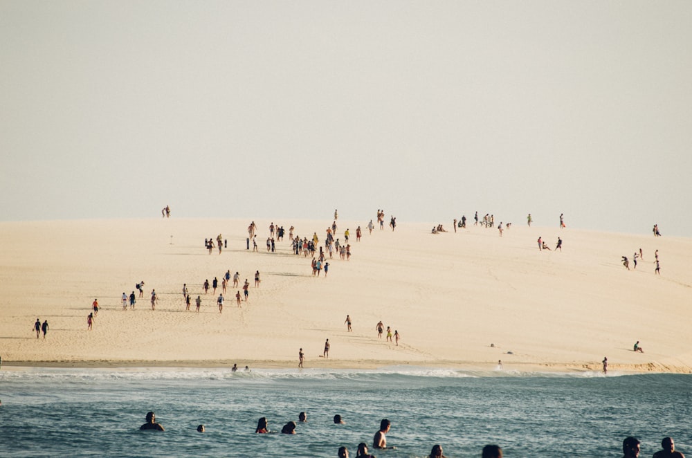 group of people on seashore