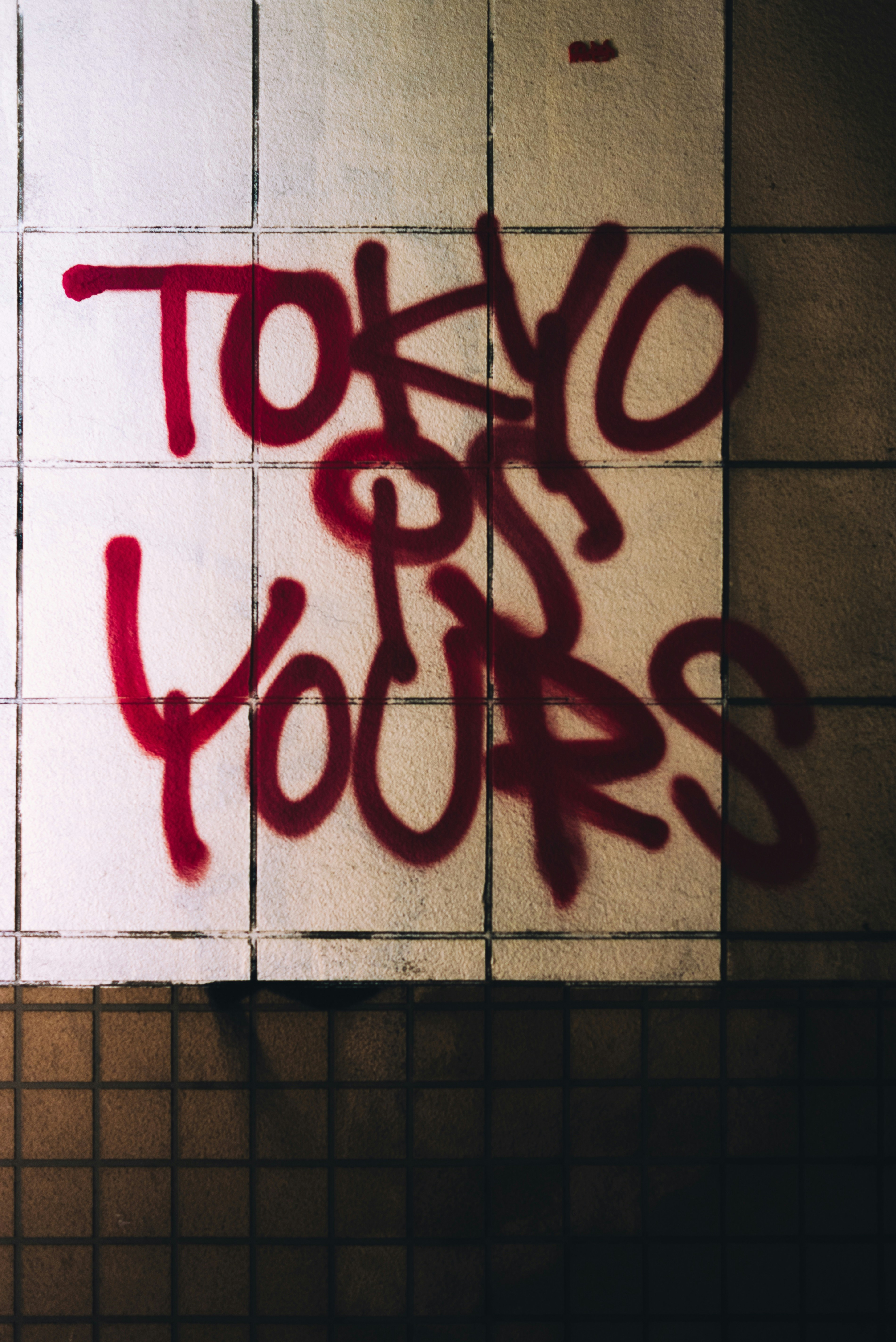 photo-1524952444256-0b938a492739?ixid=M3