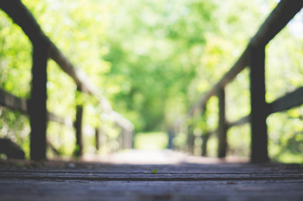 shallow focus photo of brown wooden bridge