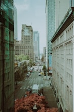 people crossing on road