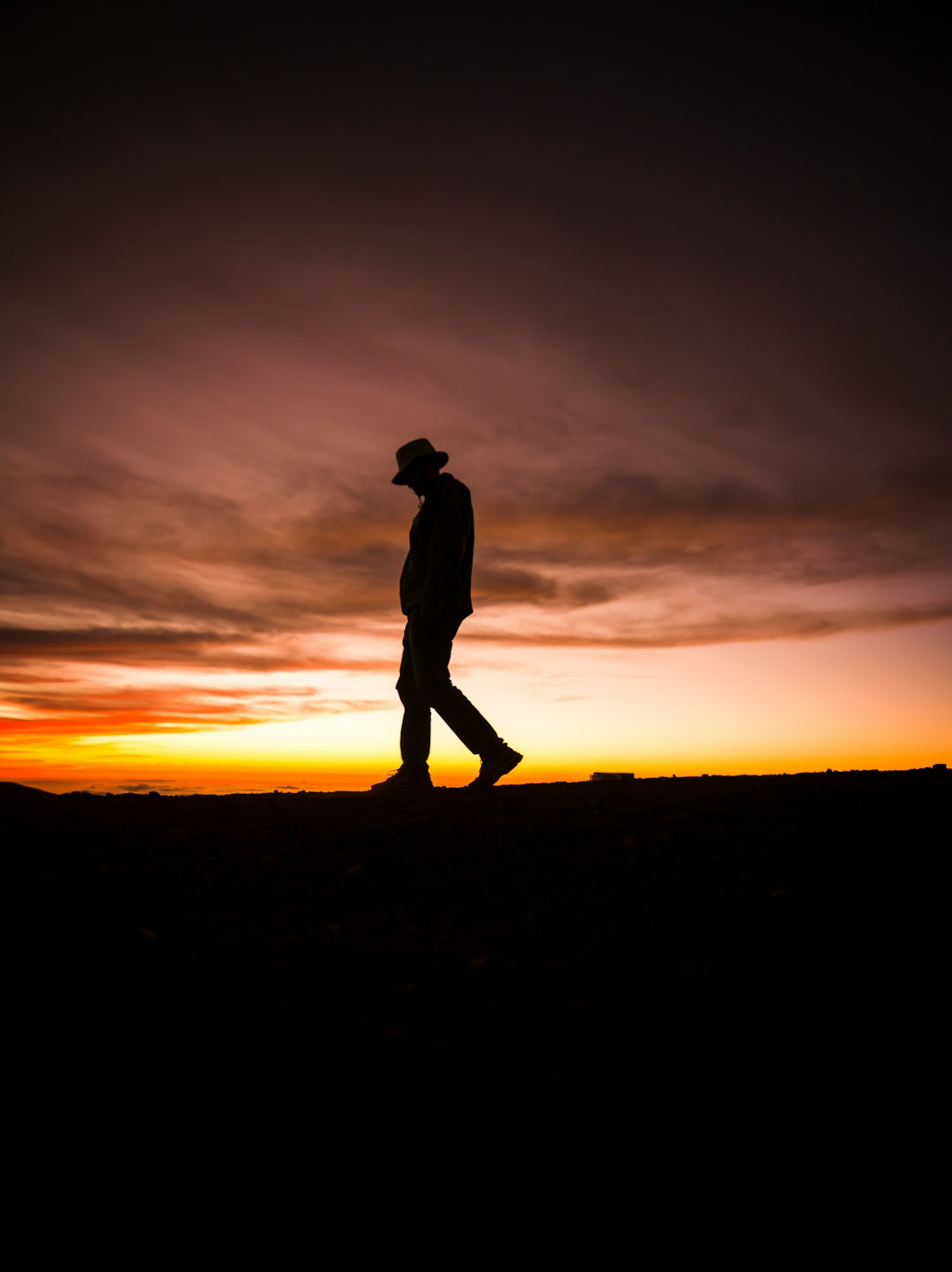 silhouette photography of man wearing fedora hat photo ...