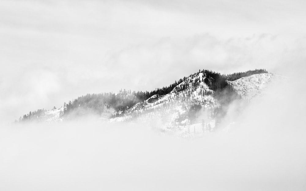 Montagne couverte de neige couverte de brouillard