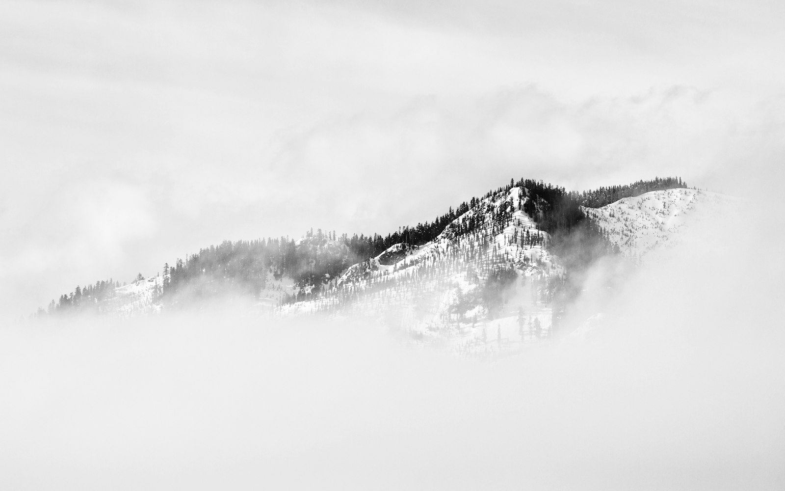 Canon EF 100-400mm F4.5-5.6L IS USM sample photo. Fog covered snow covered photography