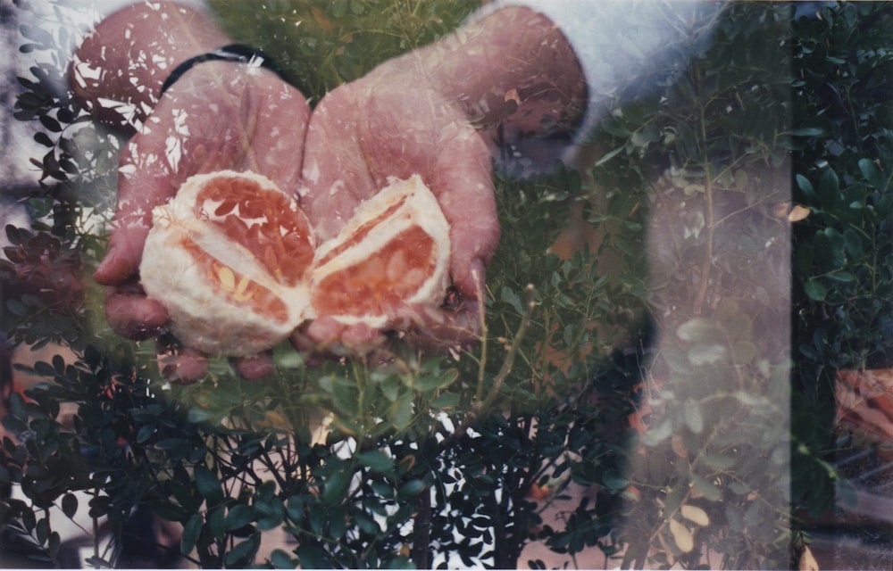 person holding peeled fruit while standing in front of glass
