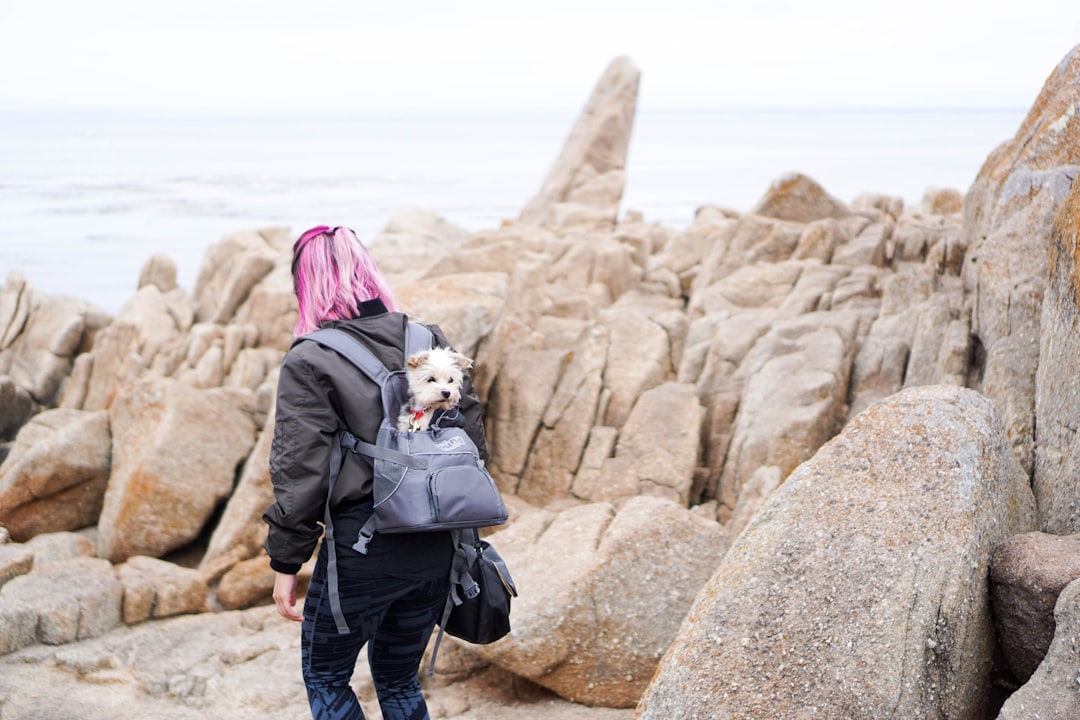 7 Budget-Friendly Carry-On Backpacks for Savvy Travelers in 2024… — 7 Budget-Friendly Carry-On Backpacks for Savvy