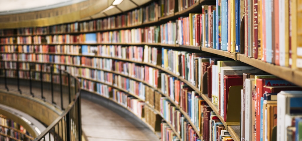 books on brown wooden shelf